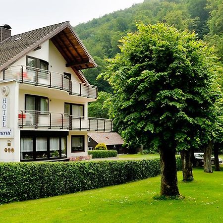 Harz Hotel Iris Sieber 外观 照片