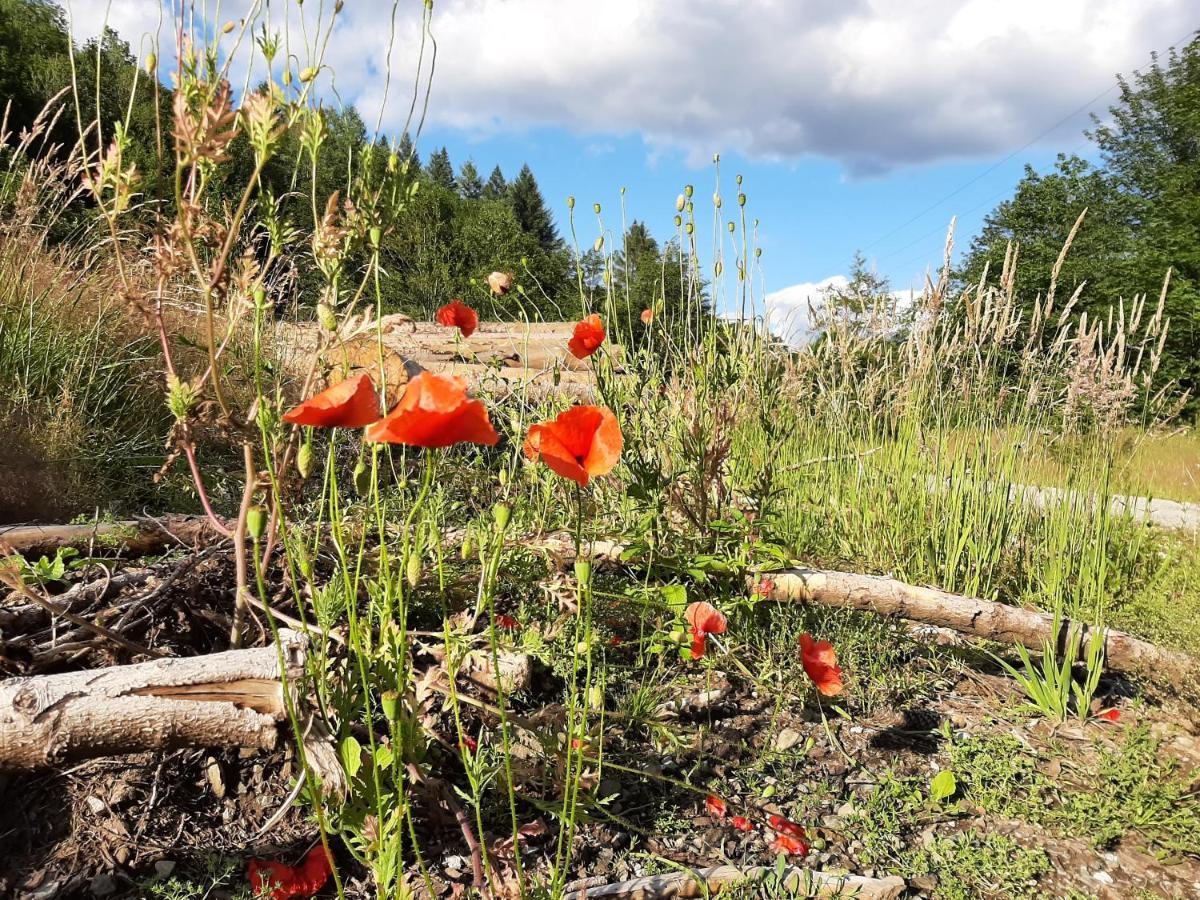 Harz Hotel Iris Sieber 外观 照片