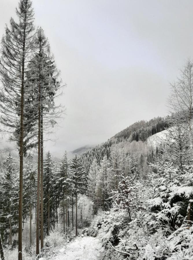 Harz Hotel Iris Sieber 外观 照片