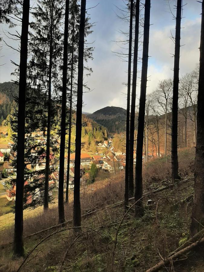 Harz Hotel Iris Sieber 外观 照片