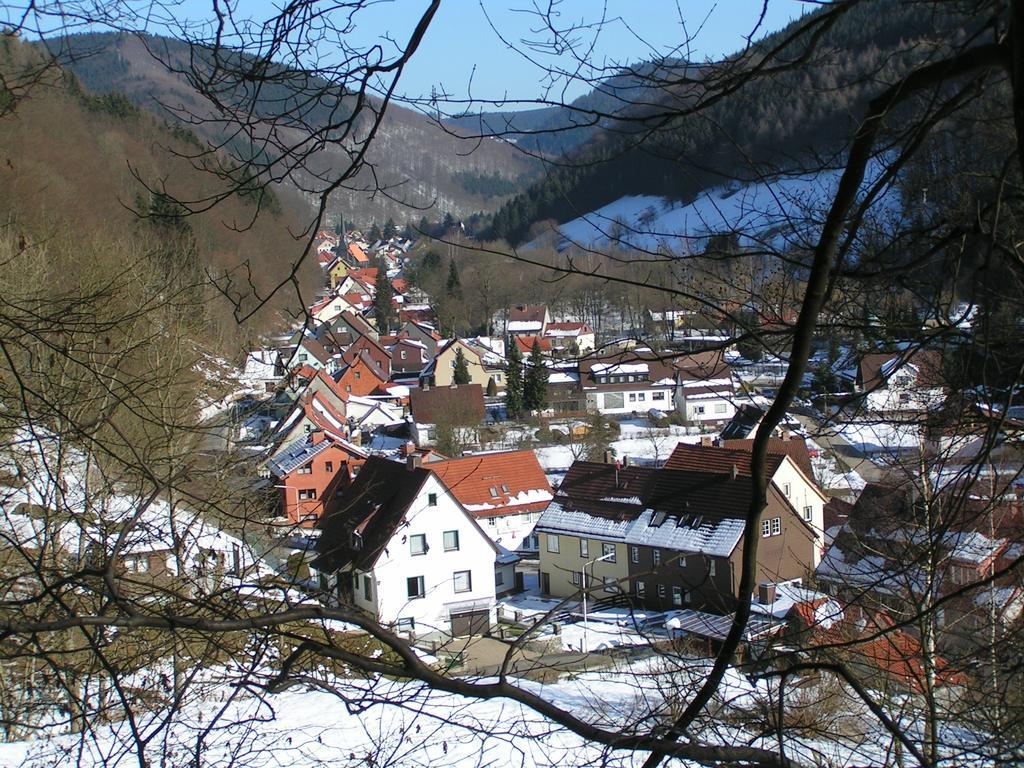 Harz Hotel Iris Sieber 外观 照片