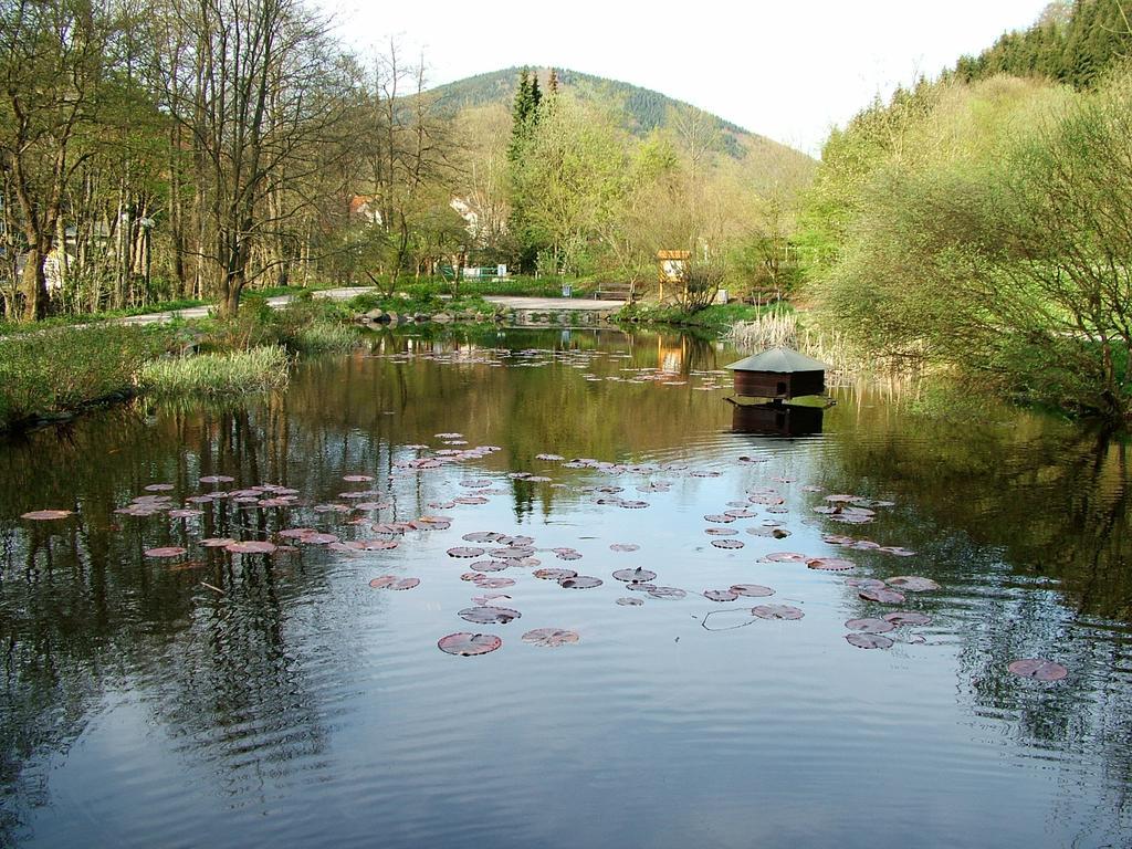 Harz Hotel Iris Sieber 外观 照片