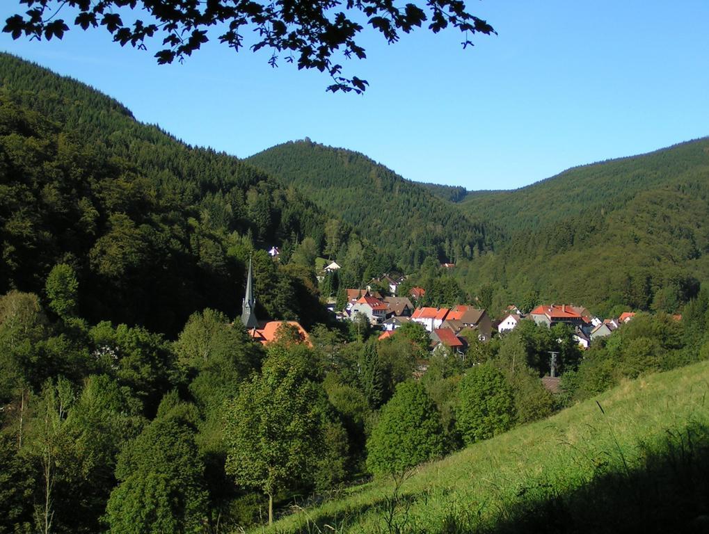 Harz Hotel Iris Sieber 外观 照片